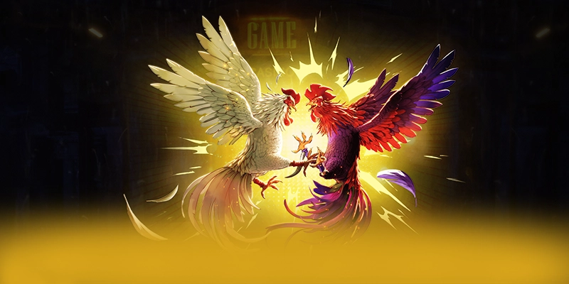 SUNWIN - Cổng giải trí được game thủ yêu thích hiện nay